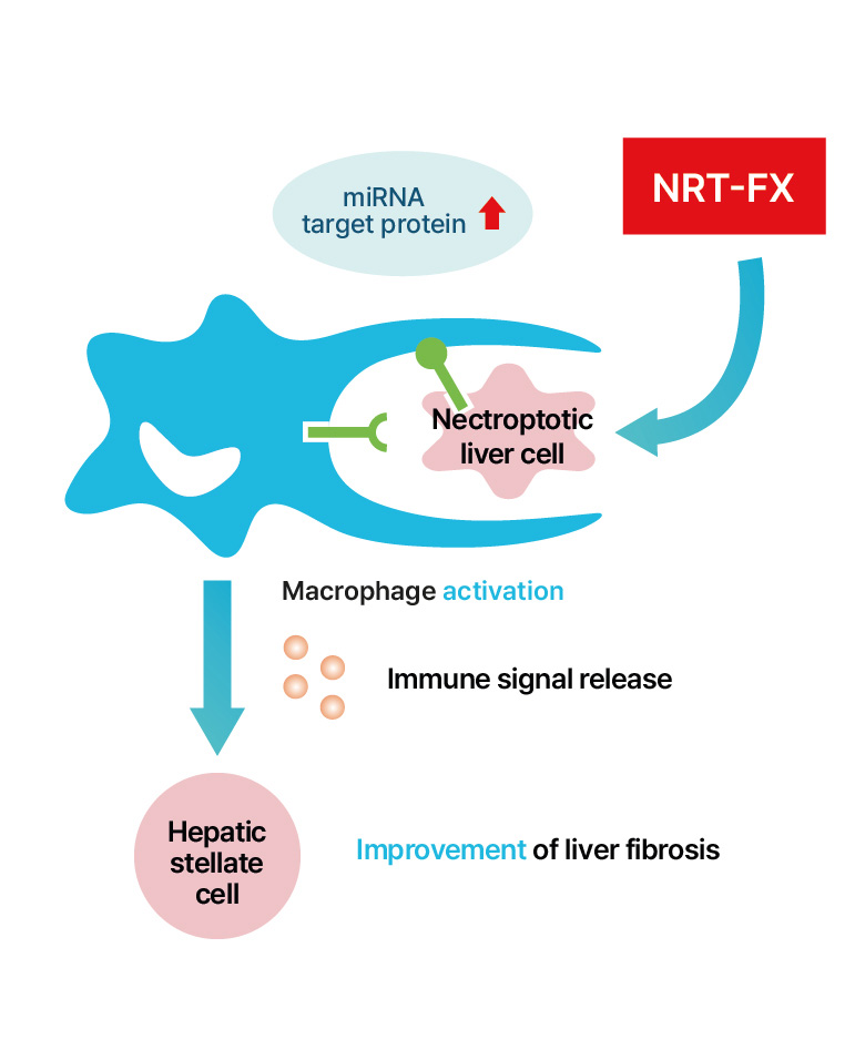 NRT-FX