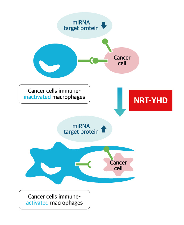 NRT-YHD