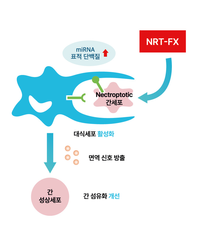 NRT-FX
