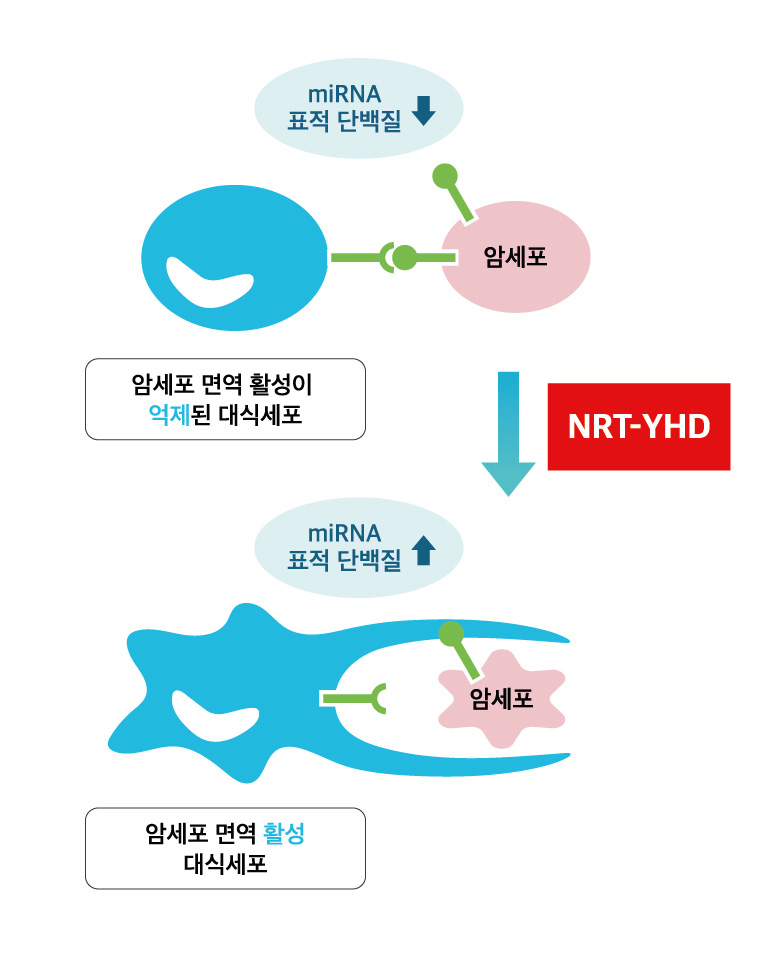 NRT-YHD