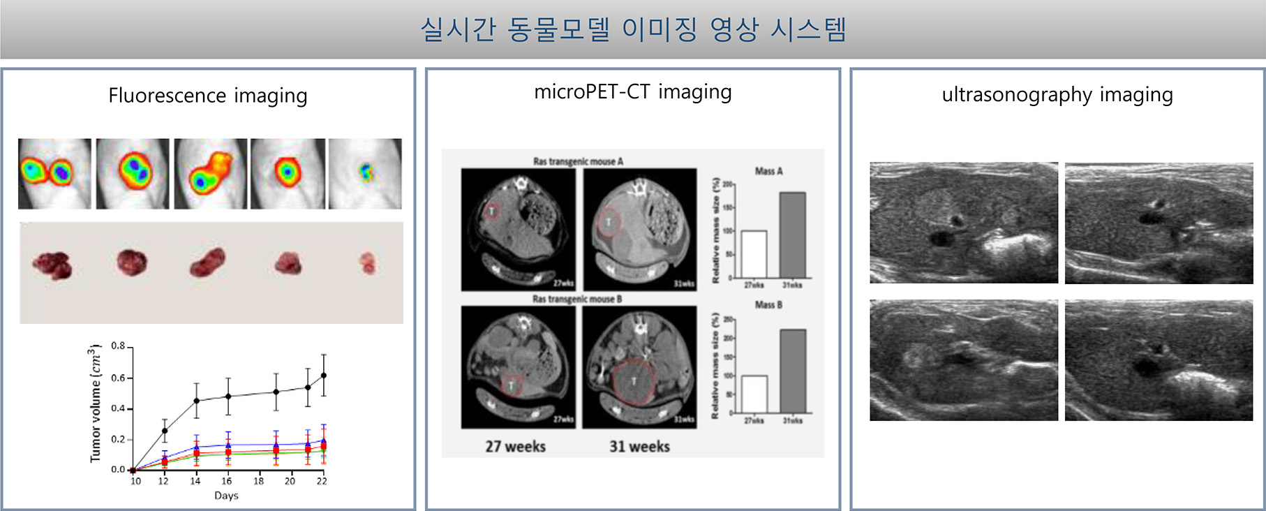 실간 동물모델 이미지 영상 시스템